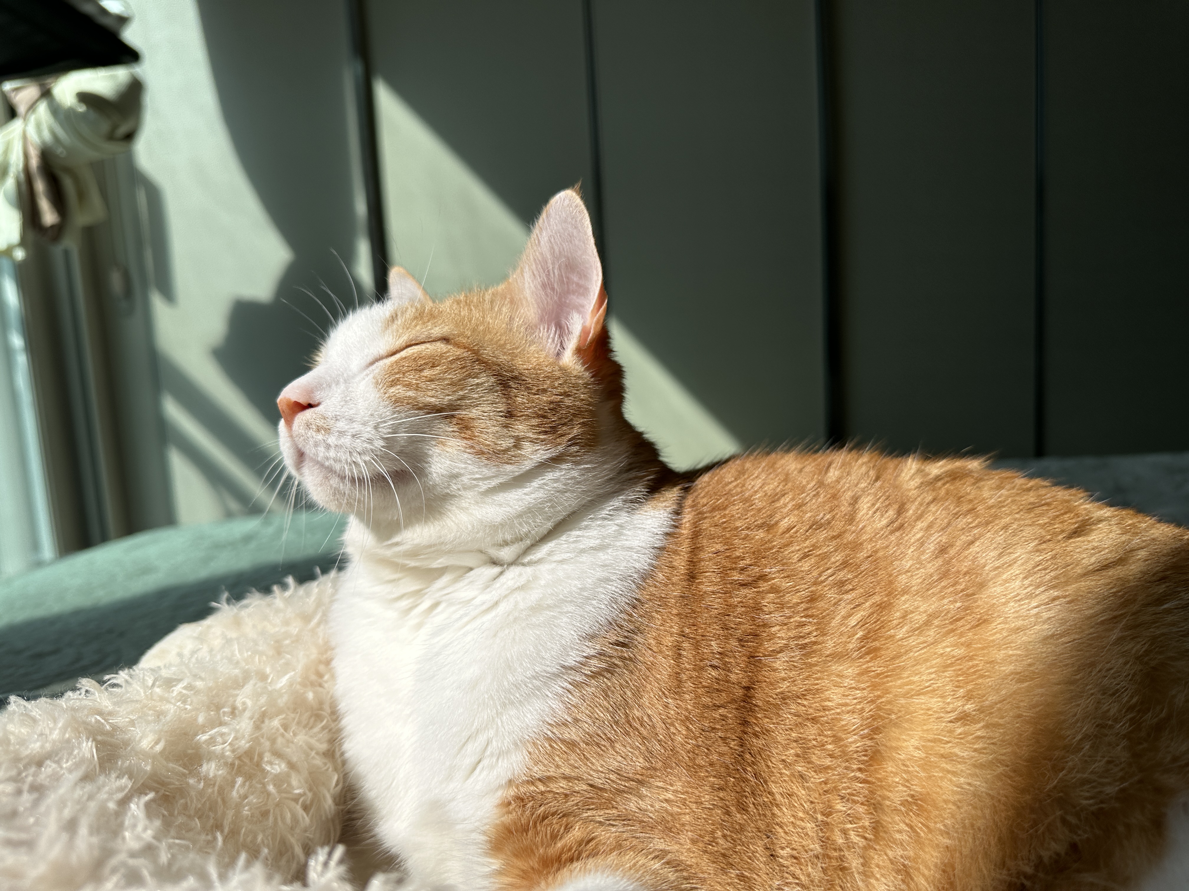 다시_한번_가을냄새_킁카킁카