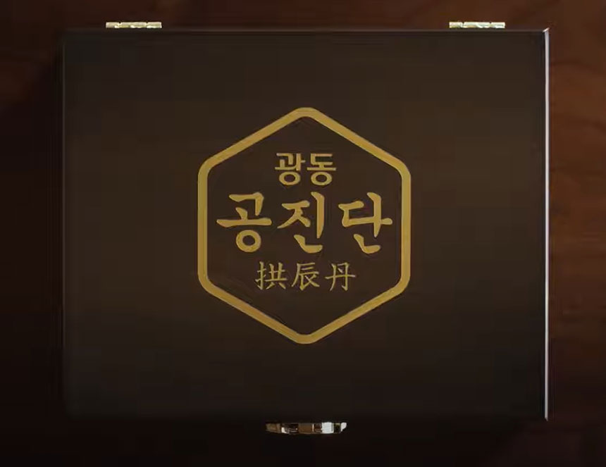 광동 공진단 박스