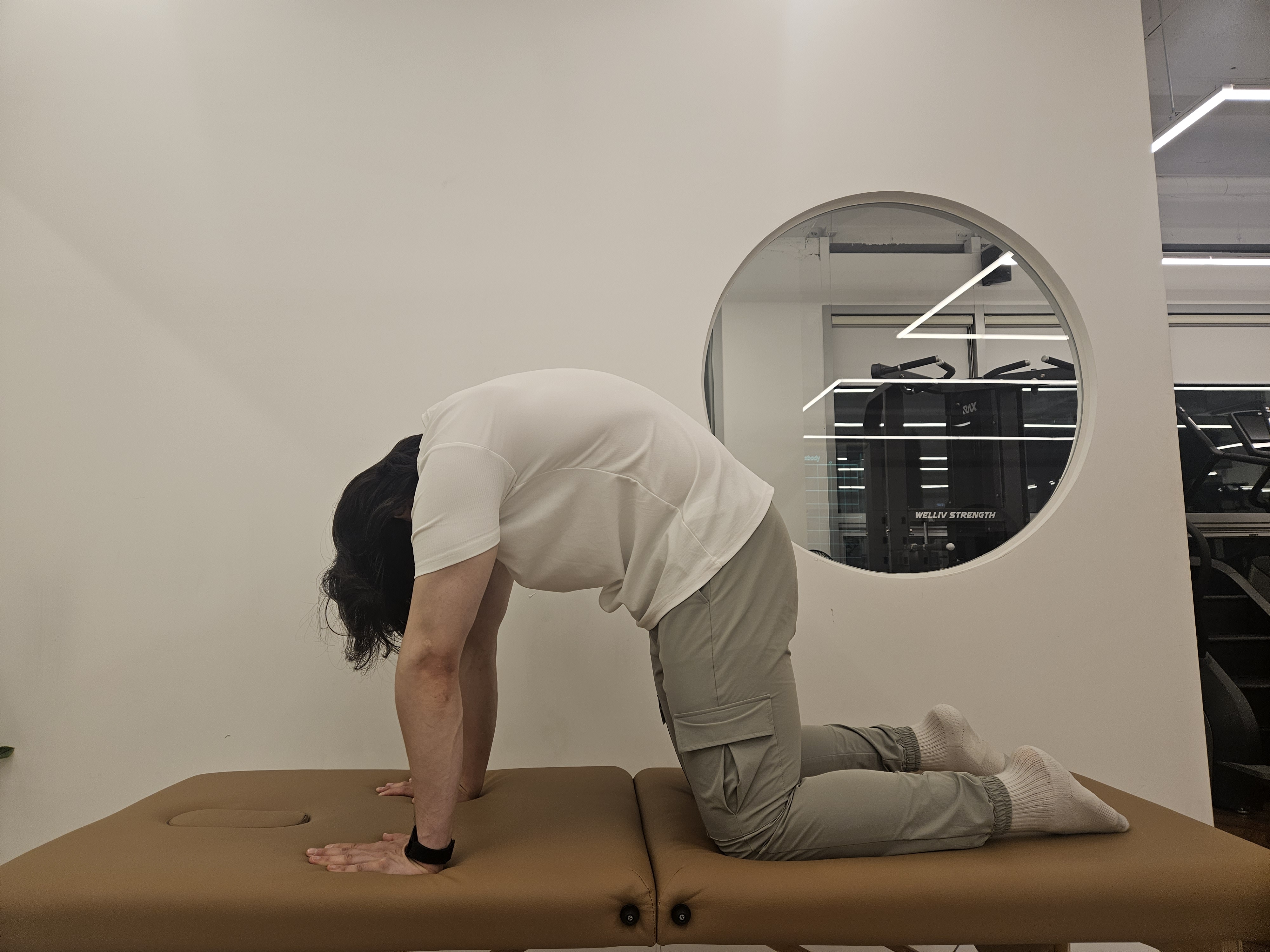 4발-자세에서-등을-천장으로-올리는-자세