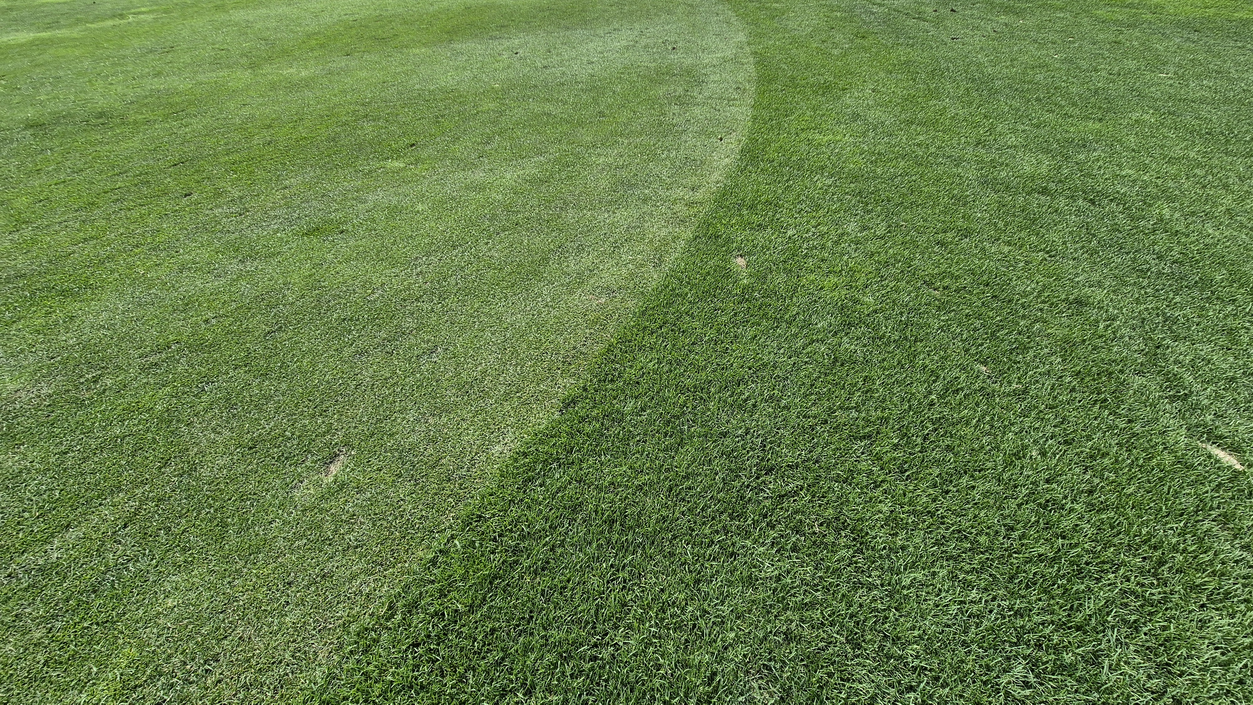 오너스gc 라운드 후기