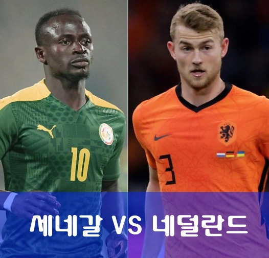 카타르 월드컵 A조 네덜란드 세네갈