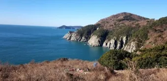 통영 연화도 수국 꽃길 산책 코스와 최적 관람 시기_11