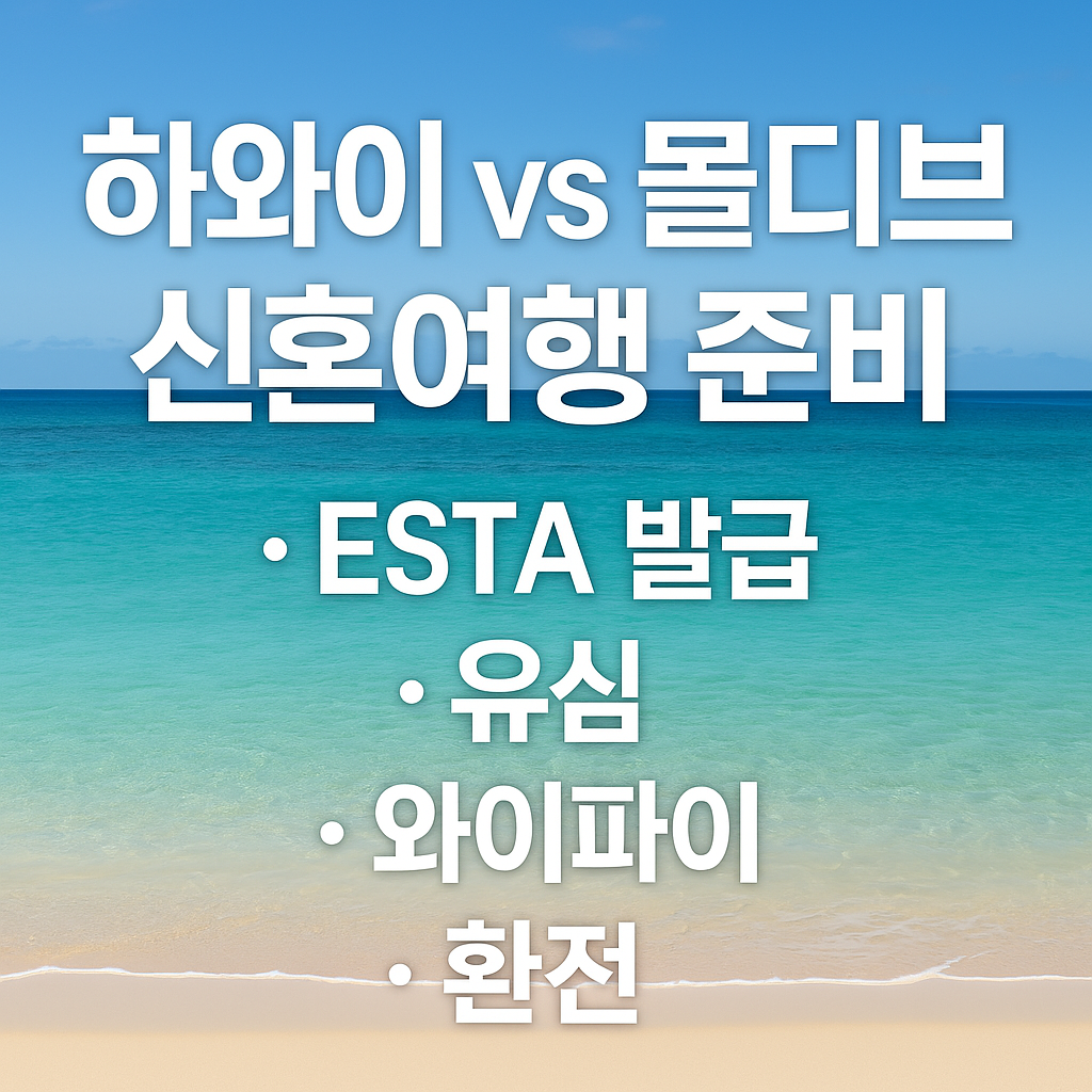 하와이 VS 몰디브 신혼여행 준비(ESTA 발급,유심,와이파이,환전) 썸네일 사진