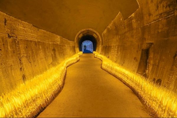 원주시 우산동~반곡관설동 11.3km를 잇는 폐철도 복원 바람길숲(원주터널 보리밭길)