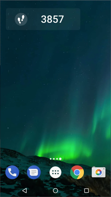 핸드폰 만보기 어플 보기