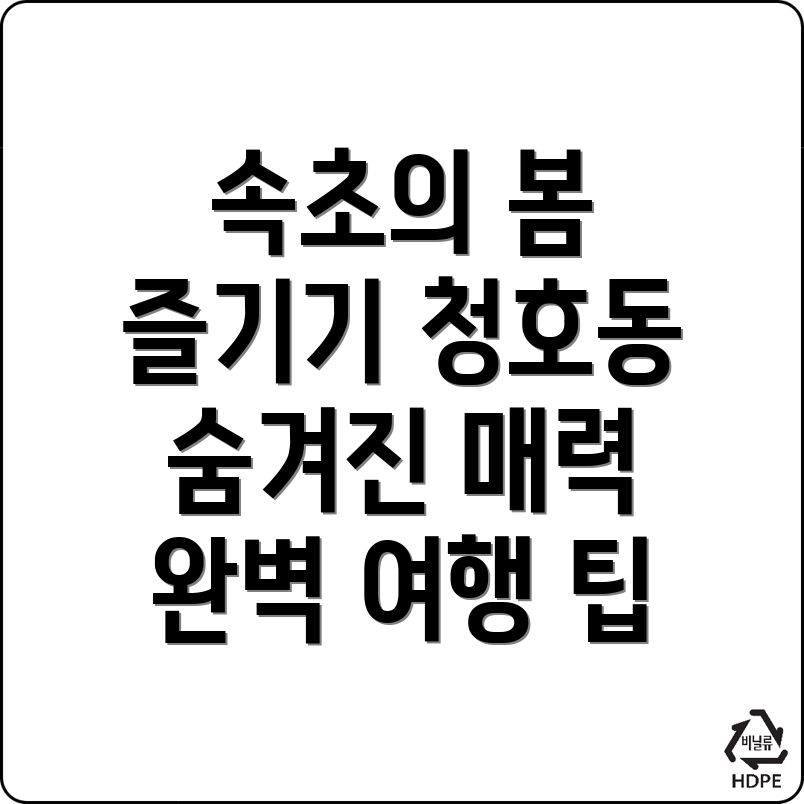 속초 청호동 봄 여행