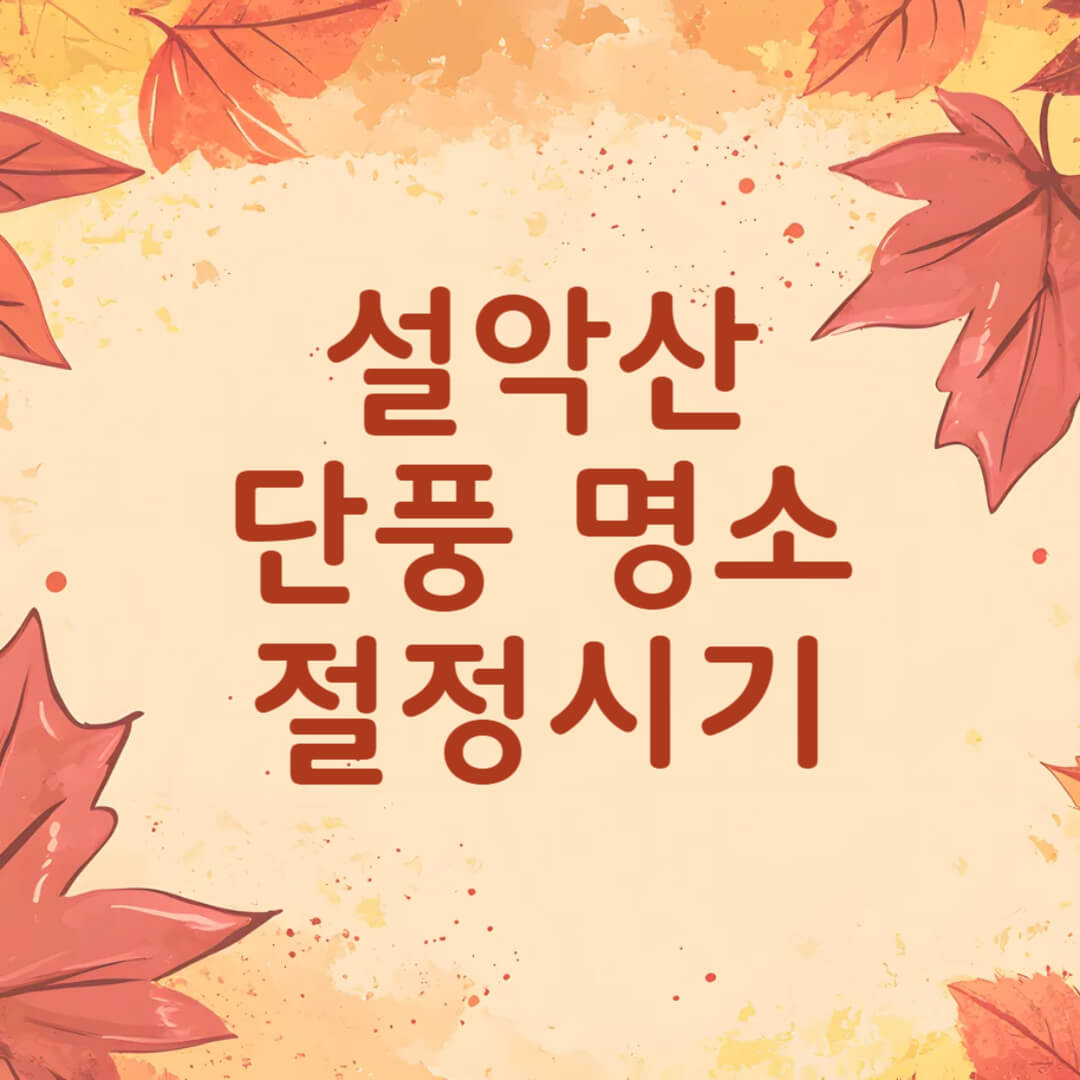 설악산 단풍 시기