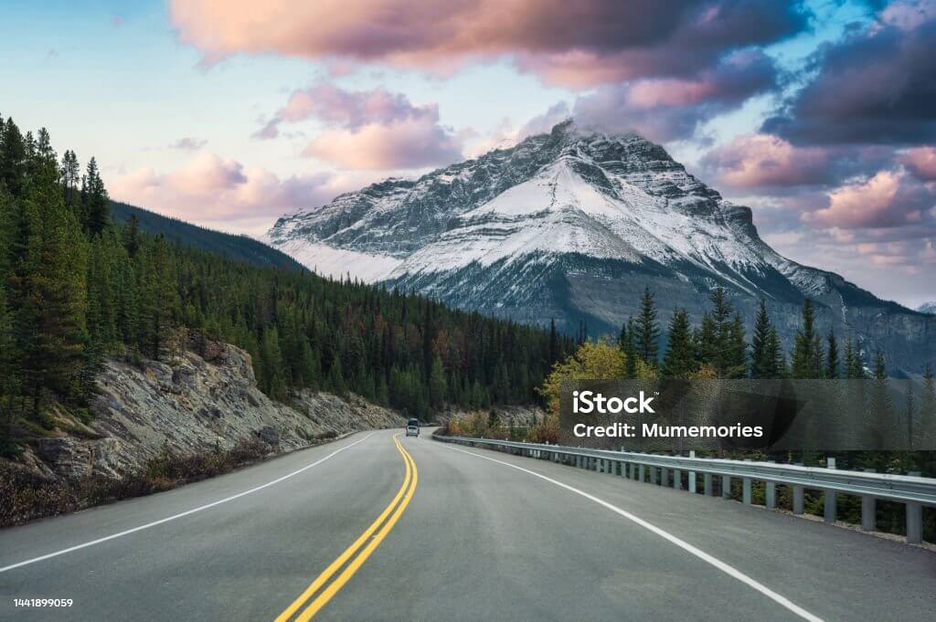 통풍증상과요산수치