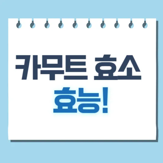 카무트 효소 효능