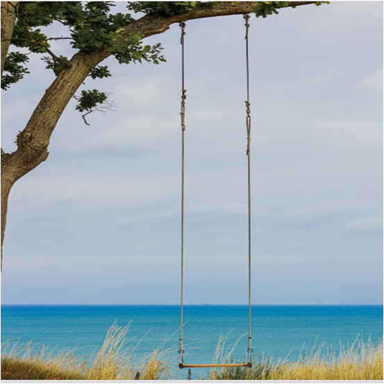 나무에-달려있는-그네