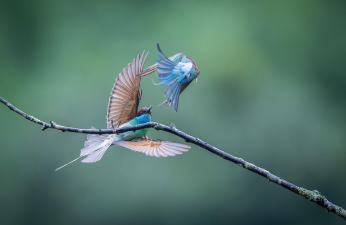 차상위계층 혜택 2025년 12