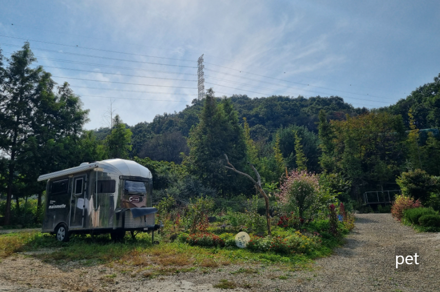 경기-연천-아미골캠핑장-예약-방법-애견-동반-가격-주소-시간-후기