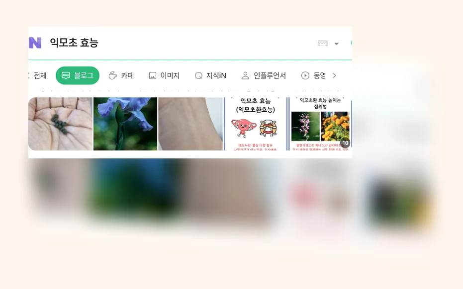 익모초 효능_1_subsection