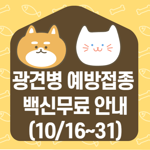 광견병 예방접종 백신무료 안내