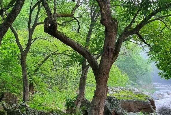양평 가볼만한곳 베스트 10
