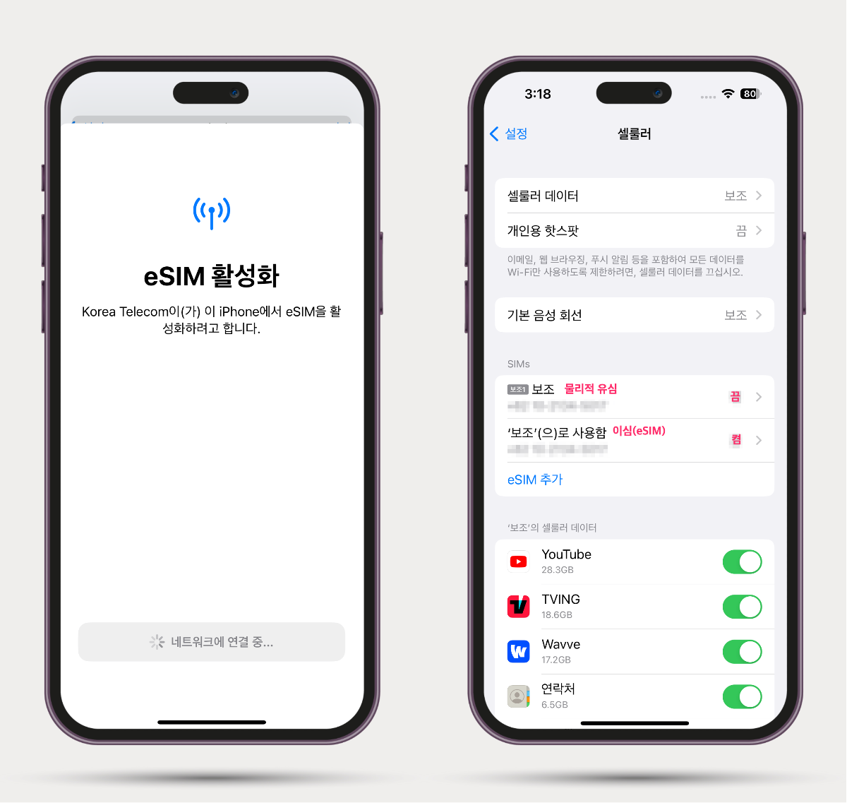 이심 개통 과정