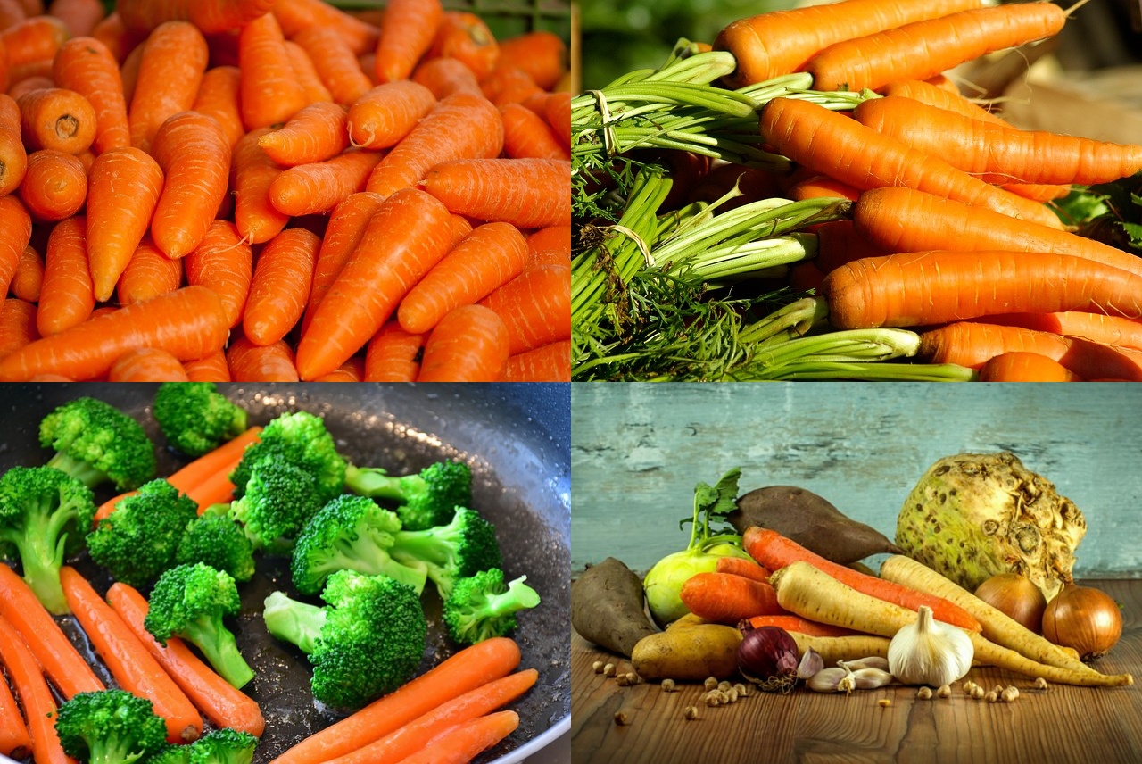 가을당근 심는시기