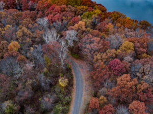 허벅지 통증 원인