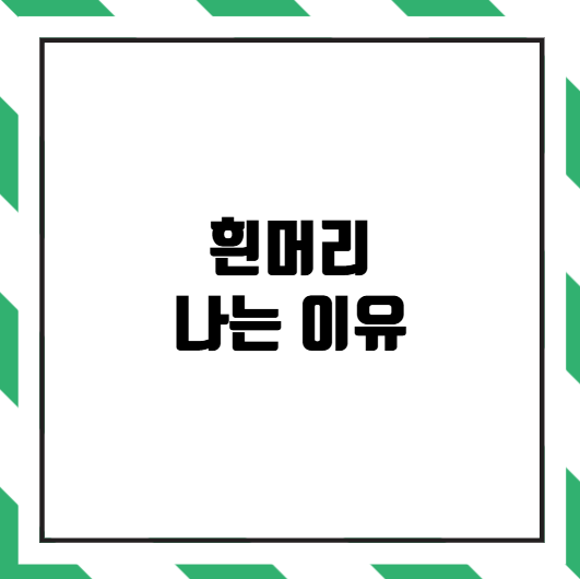 흰머리 나는 이유