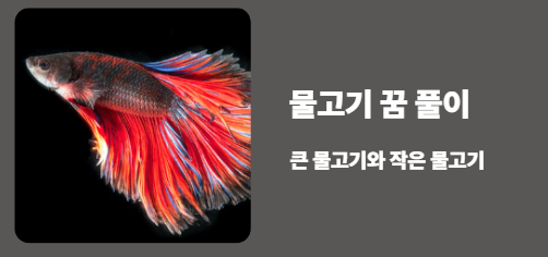 물고기 꿈해몽&amp;#44; 큰 물고기 작은 물고기 꿈 의미(길몽일까?)