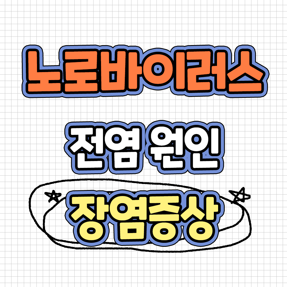 노로바이러스 증상 노로바이러스 원인 장염 증상 노로바이러스 전염