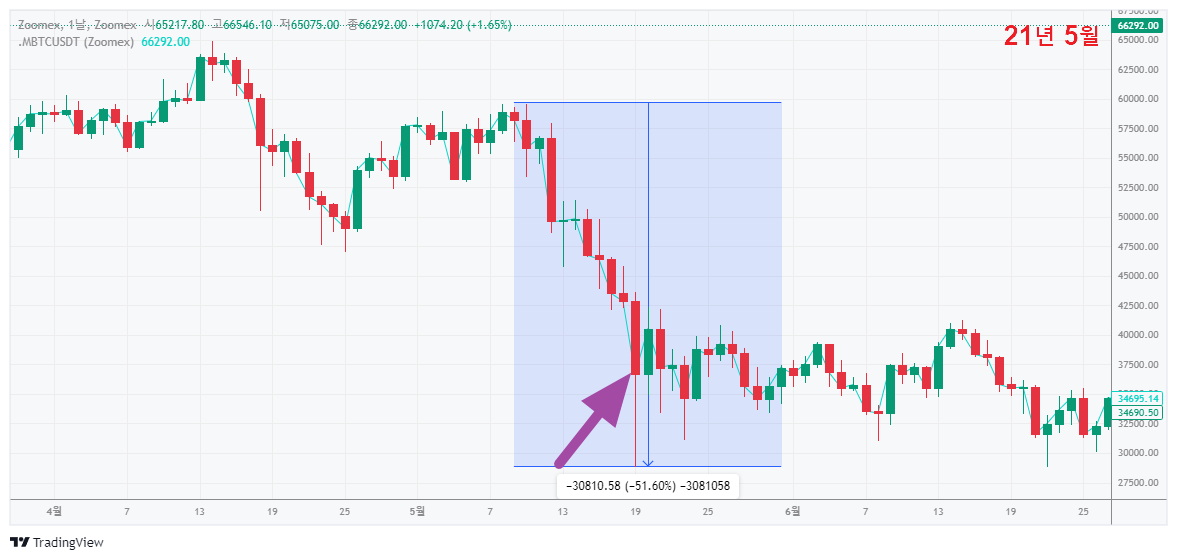 21년-5월-비트코인-급락-차트-부따빔