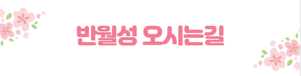 봄꽃 여행지