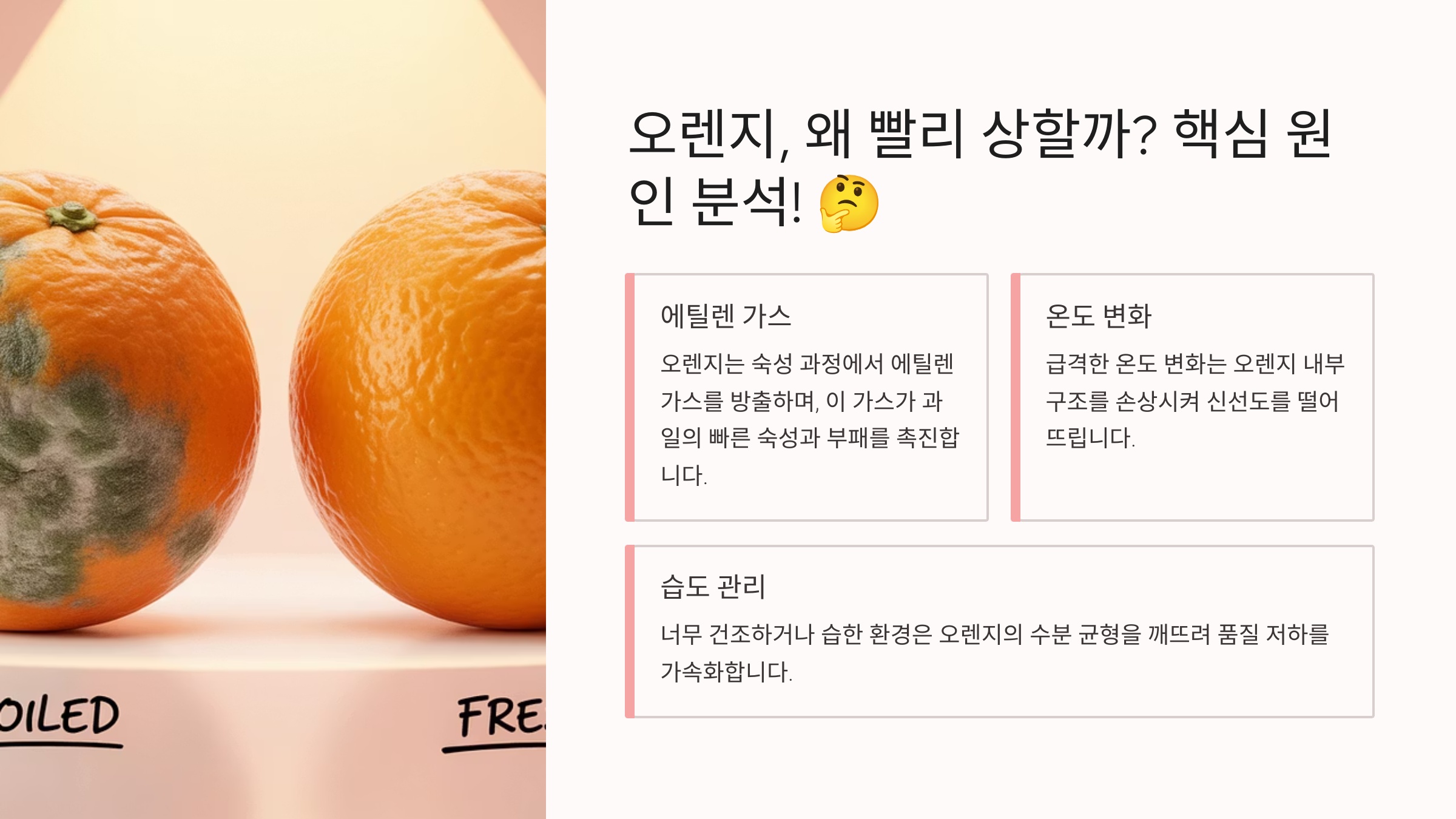 오렌지, 왜 빨리 상할까? 핵심 원인 분석! 🤔