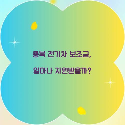 충북 전기차 보조금