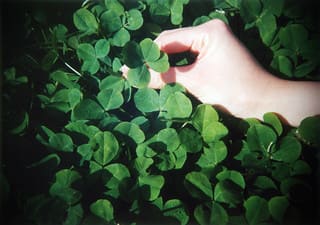 로또&nbsp;수동&nbsp;하는법&nbsp;자동&nbsp;반자동