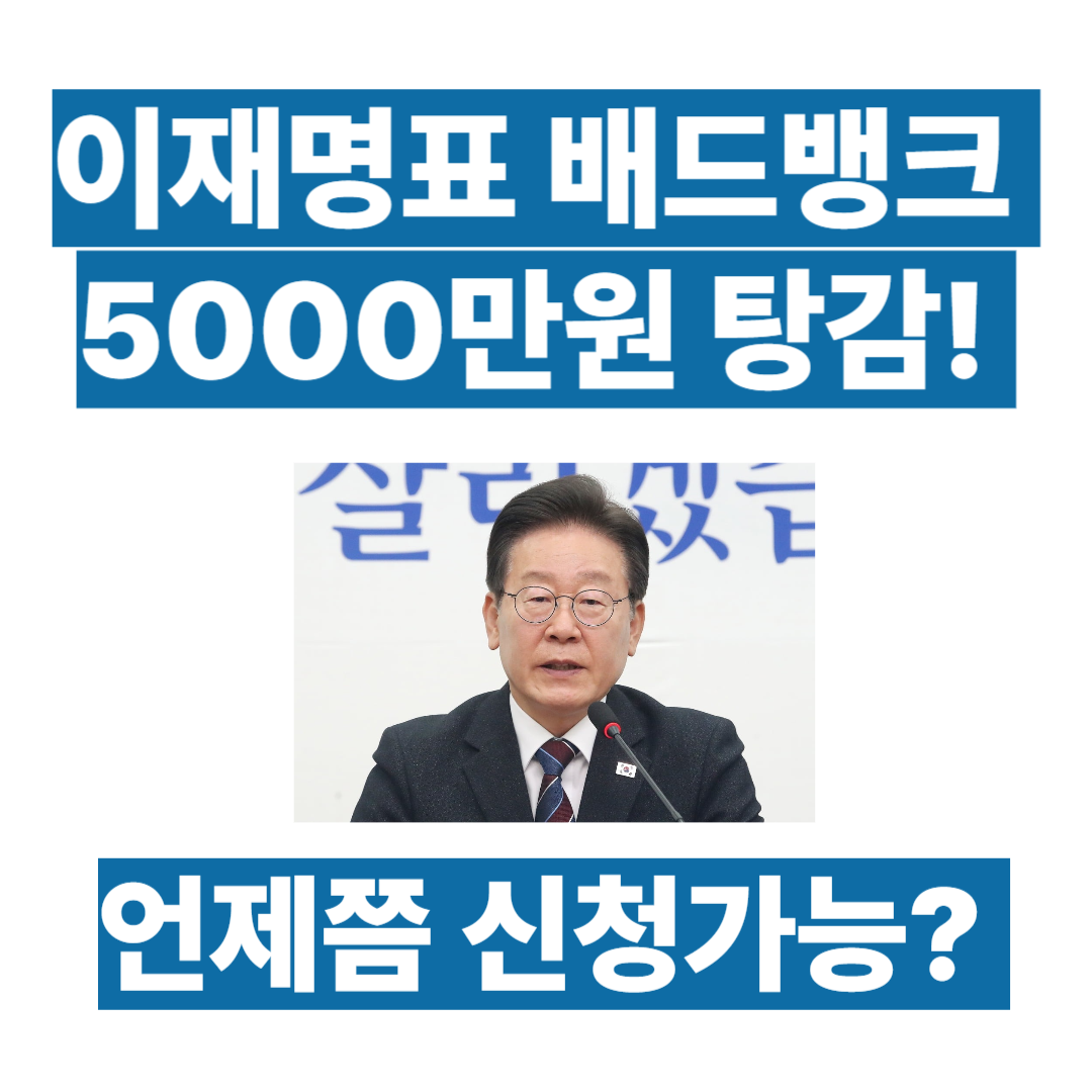 정부 배드뱅크 대출신청