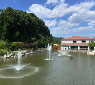 용인 자작나무숲 봄꽃 축제