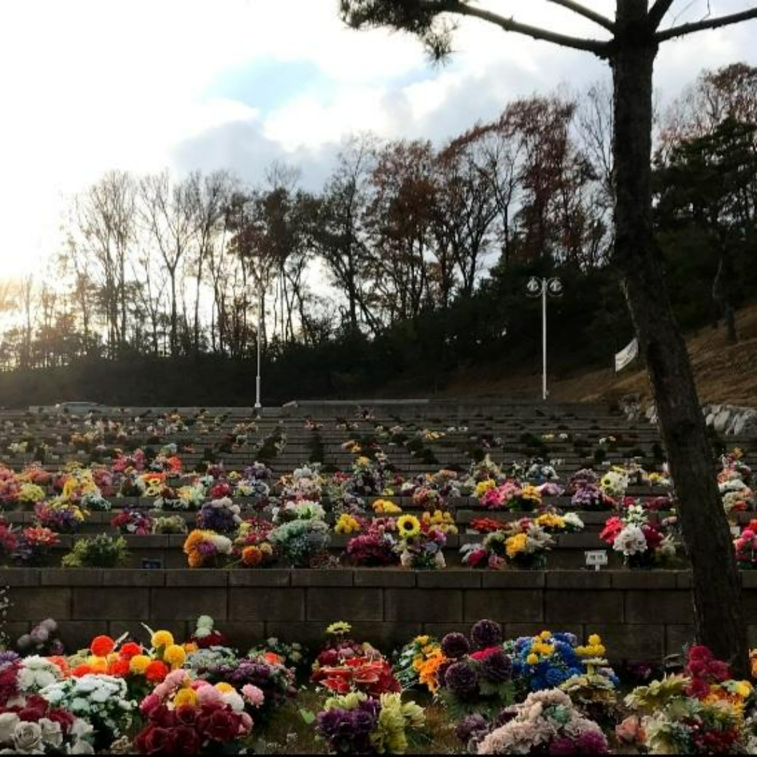 납골당, 수목장, 자연장, 자가보관 비교 가이드
3