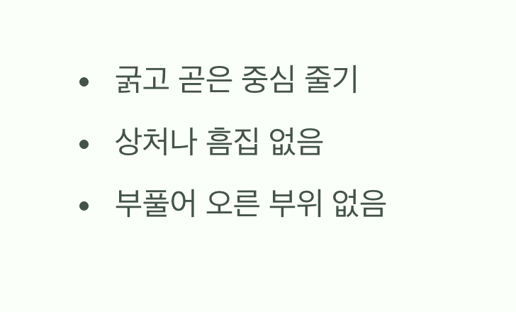 두 번째, 미래의 모습을 결정할 '줄기'
