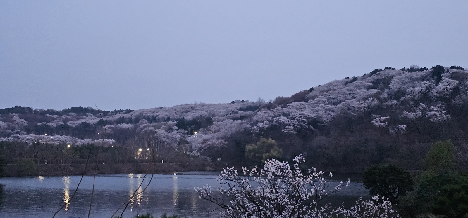 호암미술관 호숫가