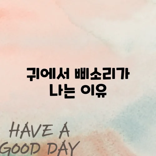 귀에서 삐소리가 나는 이유