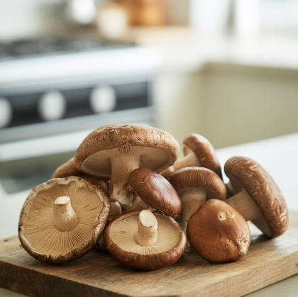 표고버섯 보관방법 꿀팁 모음 11