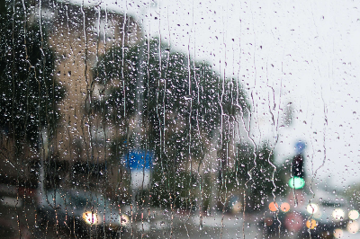 자연재난 폭우 피해 재난지원금 신청