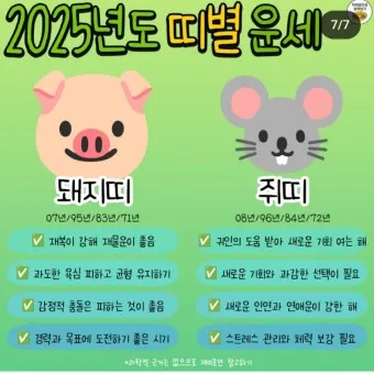 2025 띠별 운세 대박 띠 삼재띠 좋은 띠_21