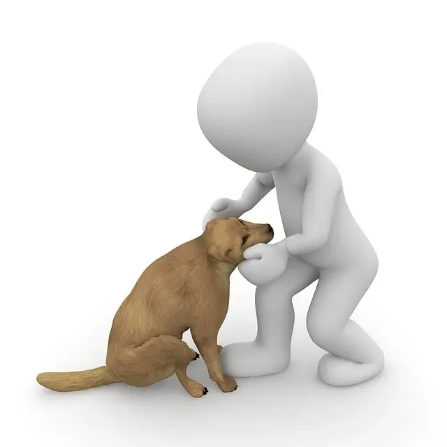 강아지 장거리 이동