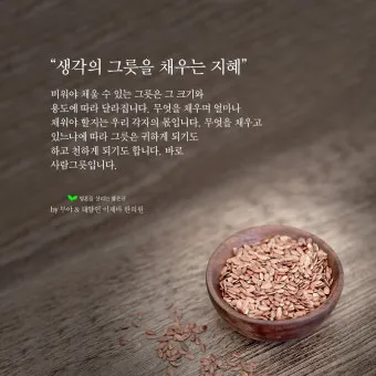 삶의 지혜 짧은 문장 손주 교육 대화 공감 가족과 나누기 좋은 표현_13