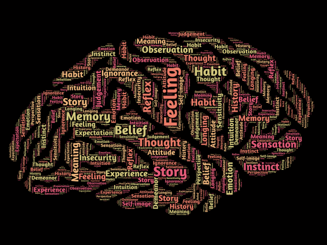 뇌과학이 말하는 최적의 학습 방법