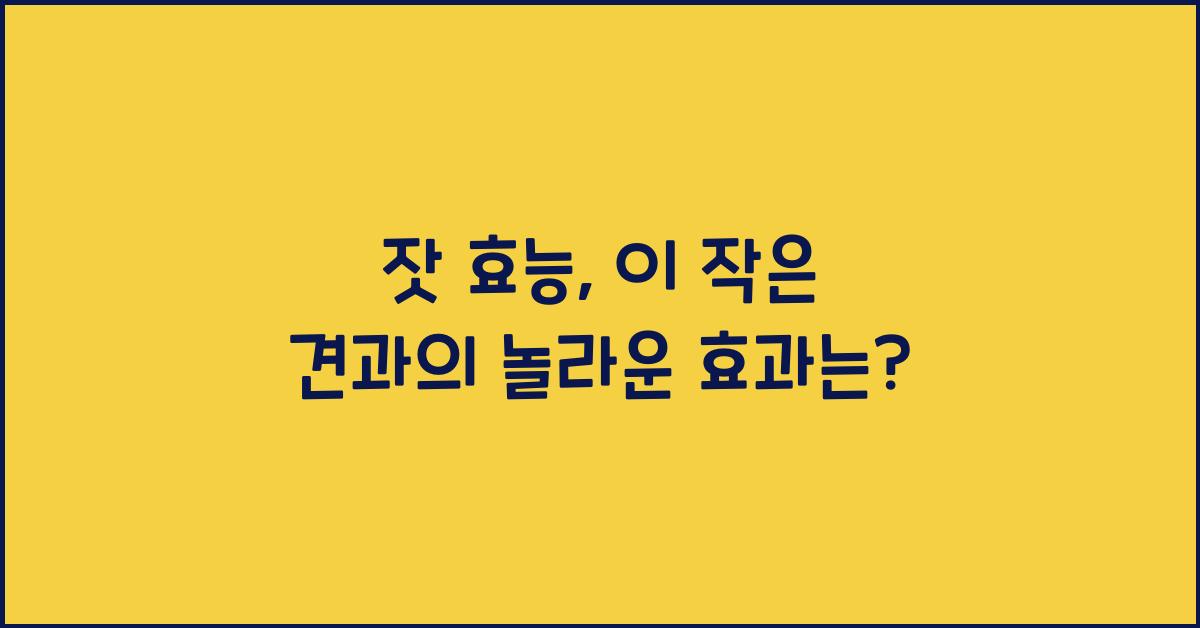 잣 효능