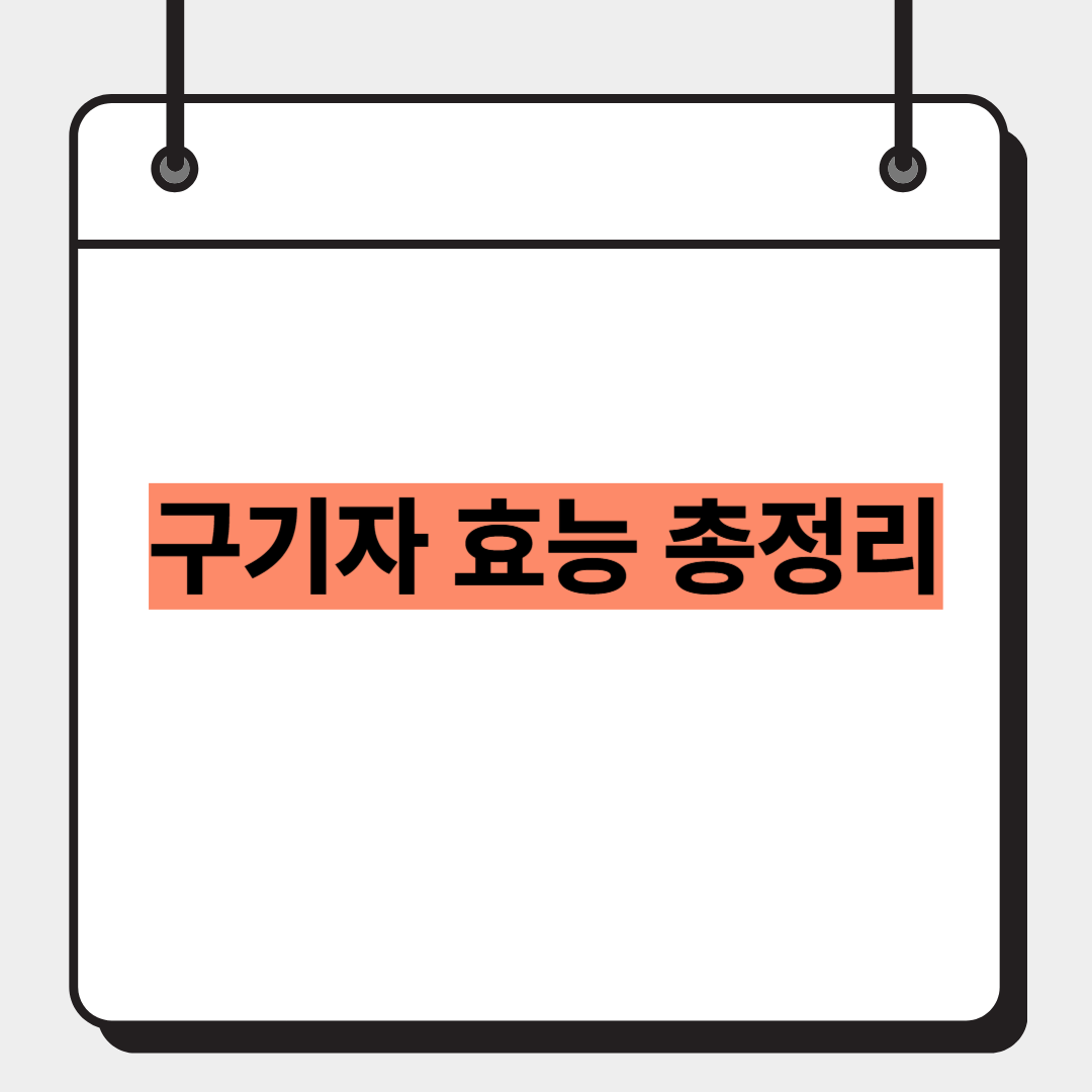 구기자 효능 총정리