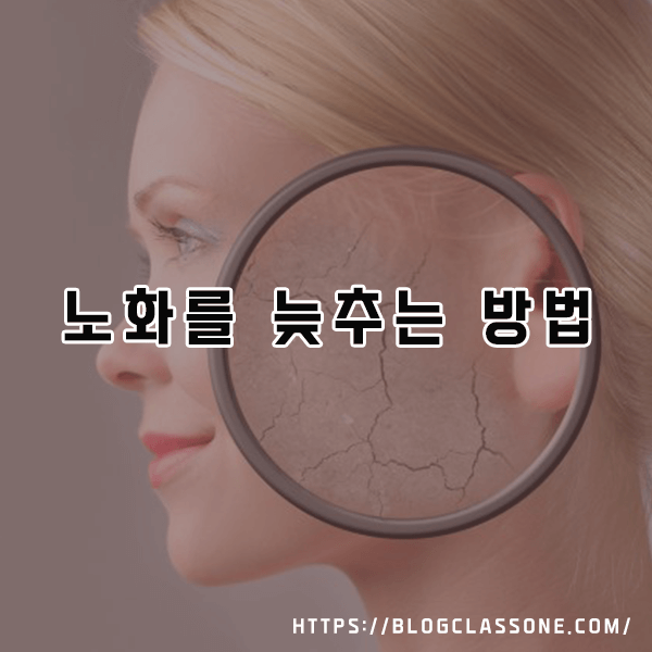 노화를 늦추는 방법