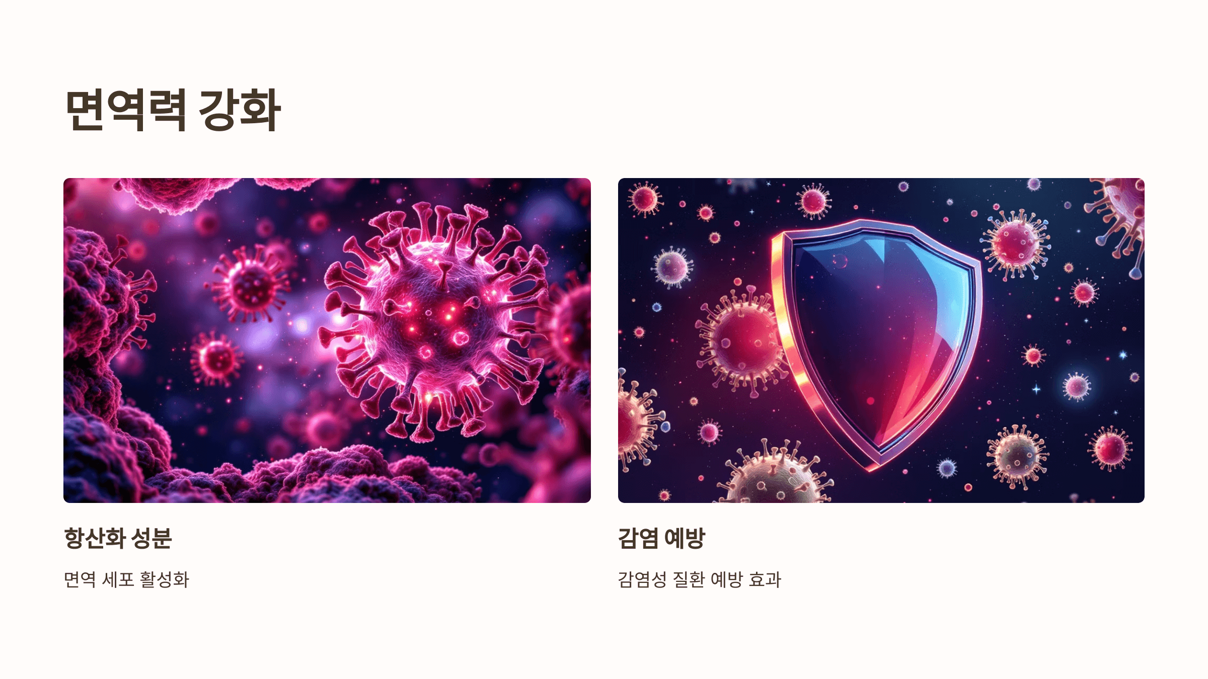 오미자 사진입니다.