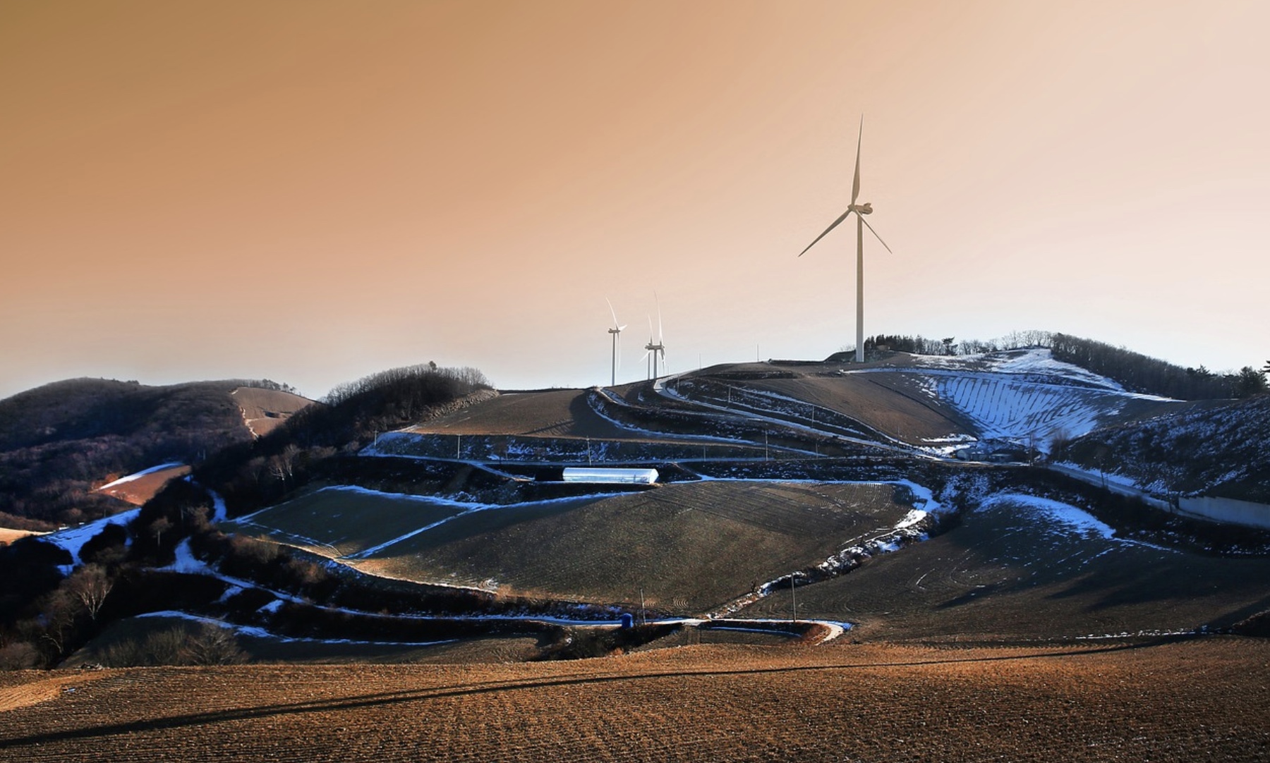 강릉 안반데기 관련사진
