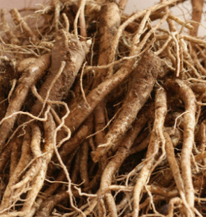 도라지 효능 부작용 고르는법 먹는법 꽃 총정리