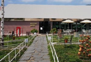 샤스타데이지 카페명소 BEST 5곳