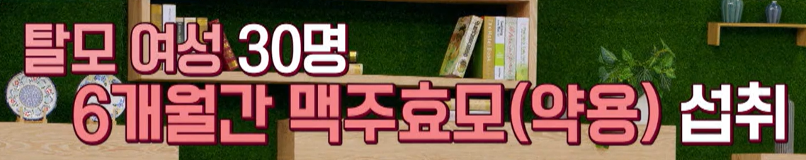 맥주 효모의 효능